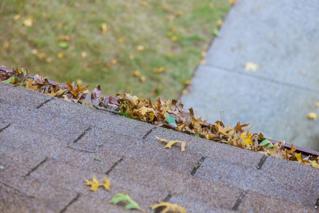 The Danger of Clogged Gutters