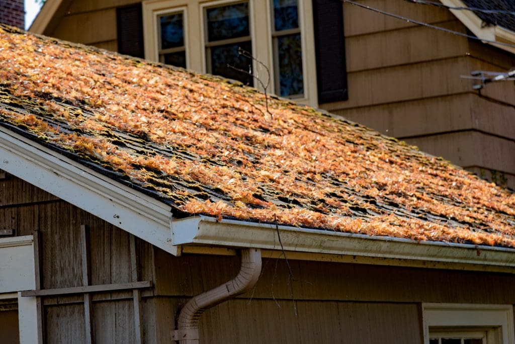 Essential Fall Roof Maintenance Tips