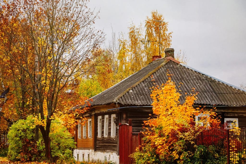 Essential Fall Roof Maintenance Tips