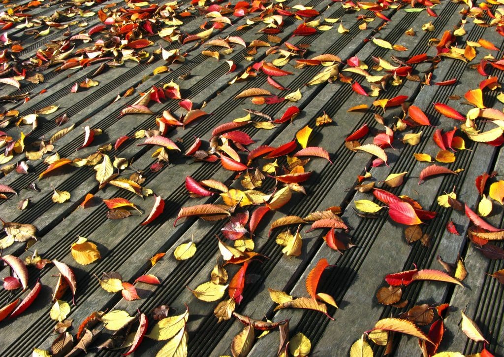 Tips for Preparing Your Roof for the Fall