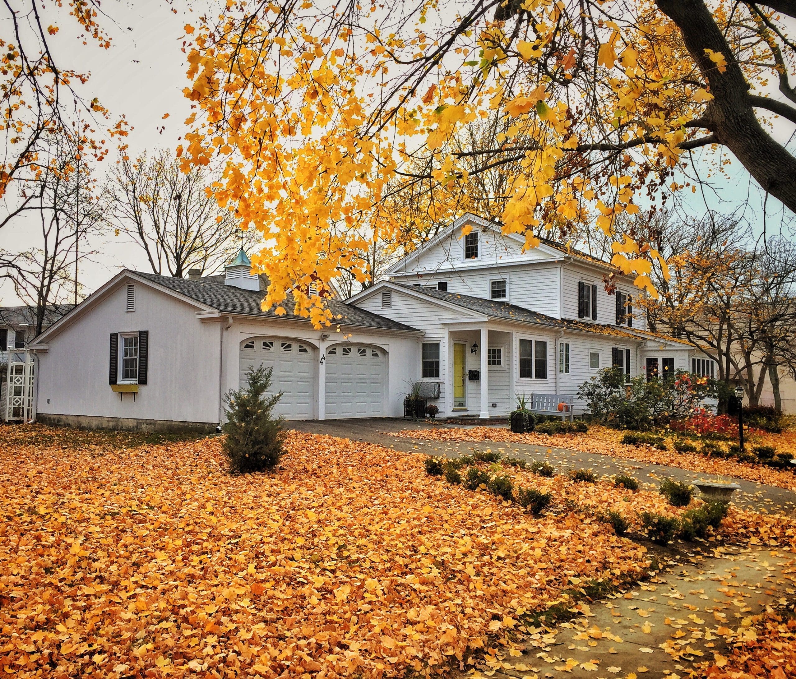 Essential Fall Roof Maintenance Tips