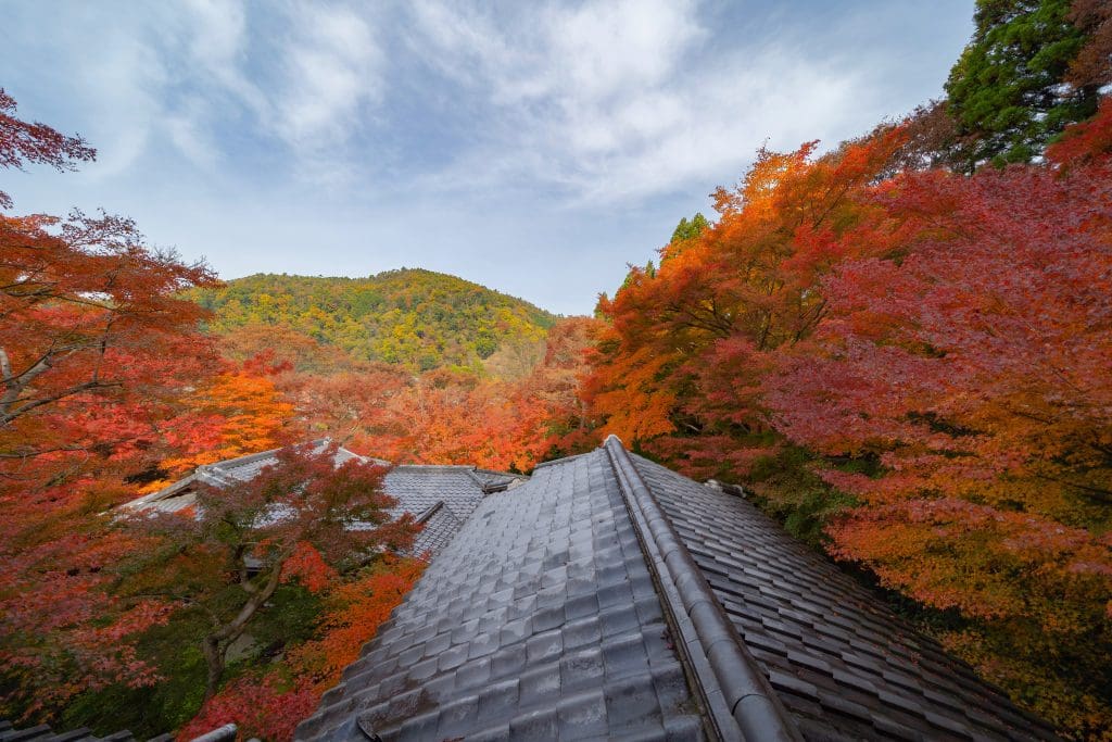 Fall Roof Maintenance 
