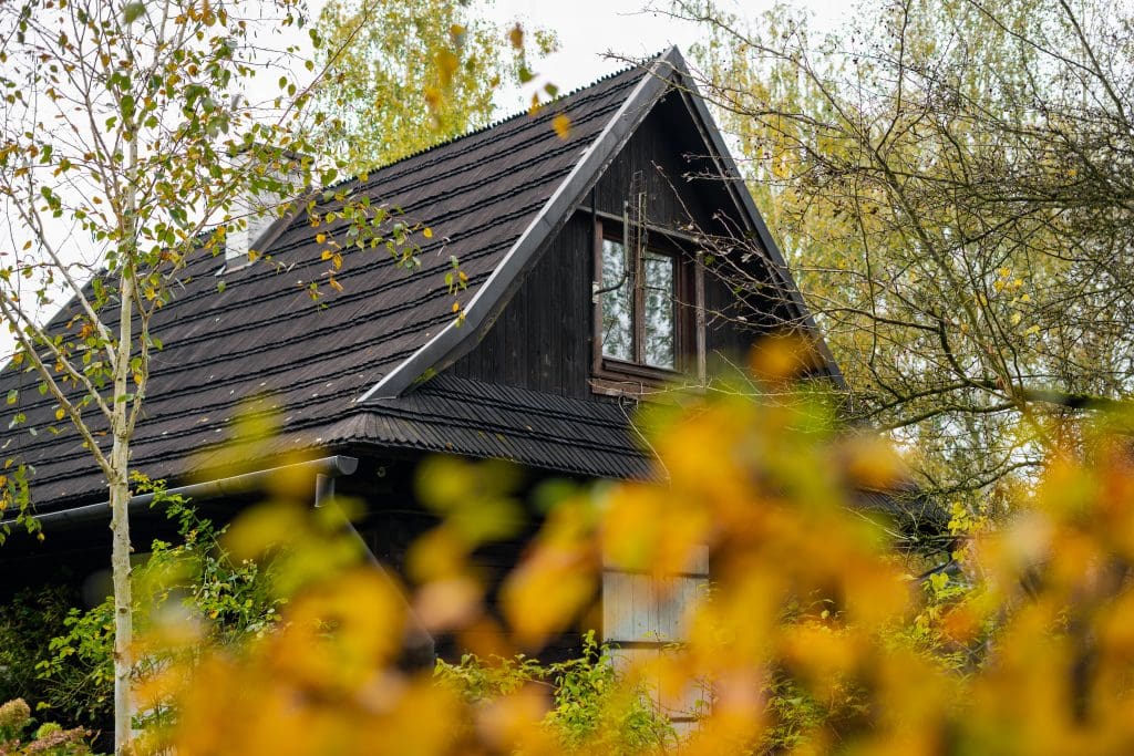 Fall Roof Maintenance 