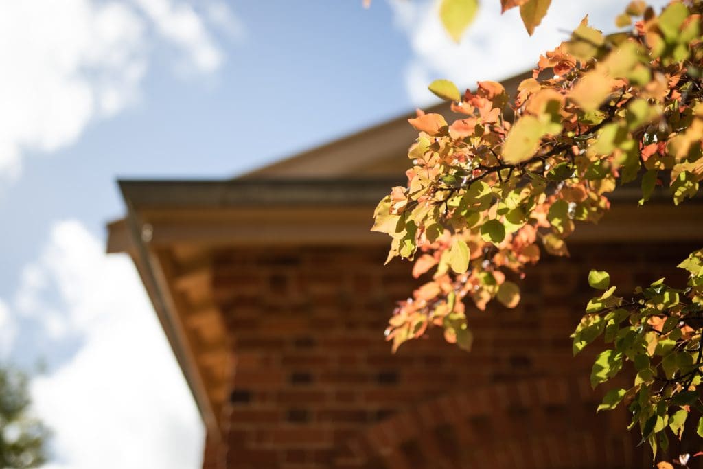 Gutter Cleaning