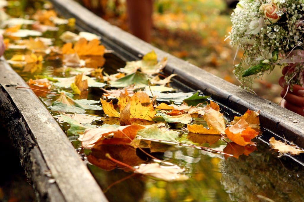 Gutter Cleaning