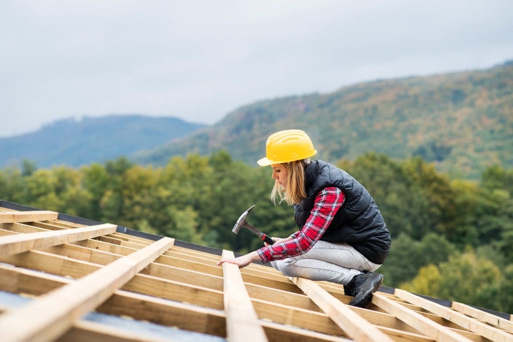 Roof Repair